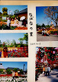 t9701 (7)_thumb.jpg